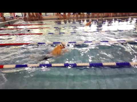 Hubert Wajchert 50m stylem klasycznym, tor nr 5