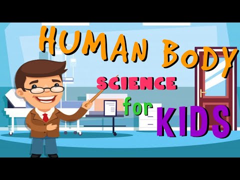 The Human Body | Science for Kids
