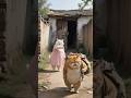 Cat Wala Video Cat Wala Story Billi Ka Video Cat Cattiktok Cartoon Funny Viral Viralvideo