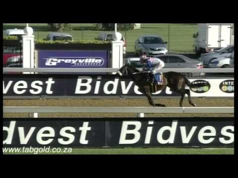 20151122 Greyville Race 7 won by QATAR SPRINGSL