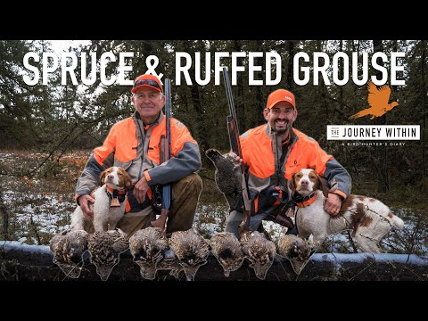 Canada Ruff, Spruce Grouse and Snipe: The Journey Within - A Bird Hunter's Diary | Mark V Peterson