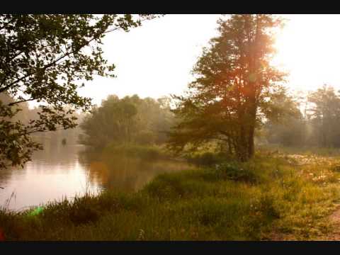 Śpiew Ptaków w Lesie nad Rzeką Wartą