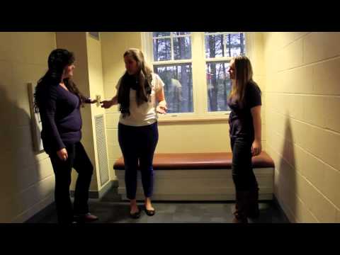 Chacun Cherche Son Chat