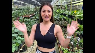 Arid & Aroids Quezon Plant Nursery Tour