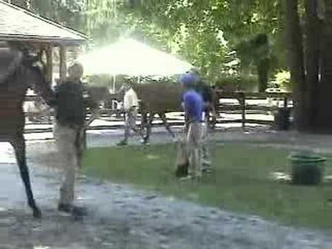 Seraphin Fire  Rock and Roll x Taylor's Hope(Devil's Bag)