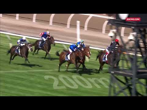 Tom Kitten – The All-Star Mile – Super Saturday, R7