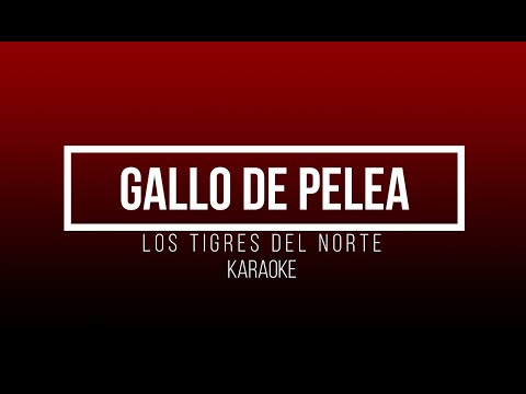 Gallo De Pelea - Los Tigres del norte
