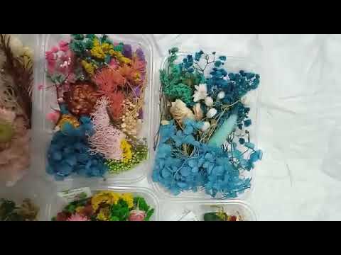 Natural multicolor dried flowers for resin art, for decorati...