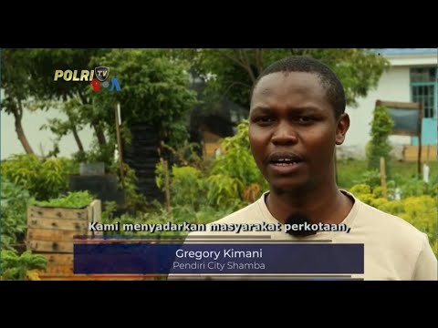 PERTANIAN PERKOTAAN TINGKATKAN KETAHANAN PANGAN