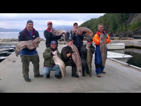 Leng und Lumb aus der Tiefe