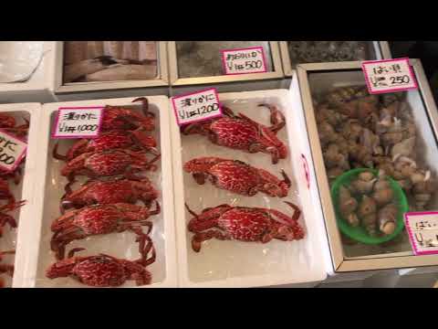 Mañana en el Centro de Pesca Wakasa Obama