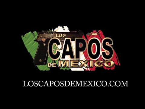 Los Capos De Mexico - El Arremangado