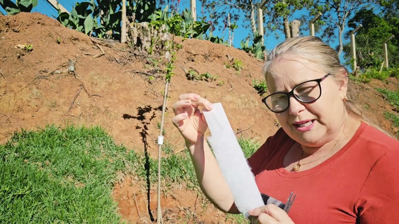 ALGUÉM JÁ FEZ ISSO! SERA QUE FUNCIONA MESMO?