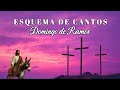 Esquema De Cantos Para La Misa De Domingo De Ramos 29 De Marzo 2026
