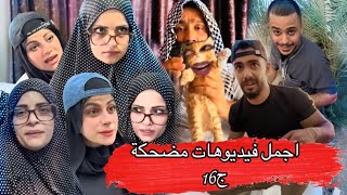 قطة بتحكي 🤣ام سيف جيفارا محمد رامي نانو 🤣🤣