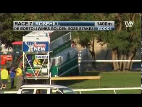 2013 Golden Rose Stakes - Zoustar