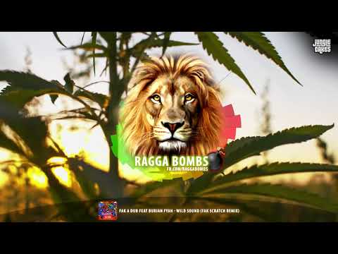 Fak a Dub ft. Burian Fyah - Wild Sound (Fak Scratch Remix)
