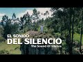 El Sonido Del Silencio / The Sound Of Silence (Version Spanish) Panflute - Voice | By Carlos Salazar