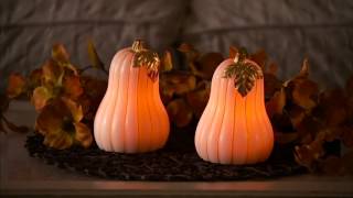 Set of 2 Lit Pumpkins or Gourds by Candle Impressions on QVC