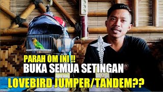 Download lagu LOVEBIRD SEMONGKO JUMPER ANTI BADAI/tutorial setingan fighter tandem/jumper mp3 Download lagu LOVEBIRD SEMONGKO JUMPER ANTI BADAI/tutorial setingan fighter tandem/jumper mp3