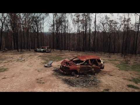 Calling for Fire - King Curly