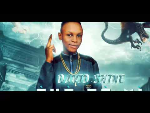 #David Shine Dream Fundraising...