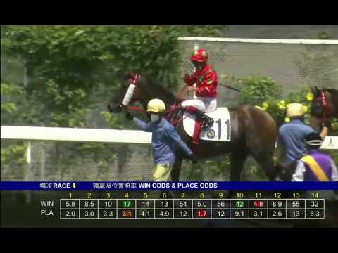 2022 05 29 沙田 第四場 虹鴻 霍宏聲