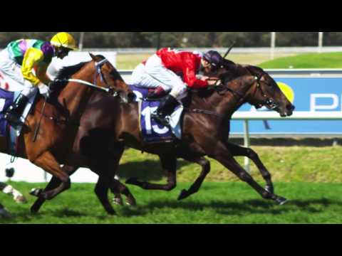 Super Saturday at Ascot Racecourse in Hi-Res