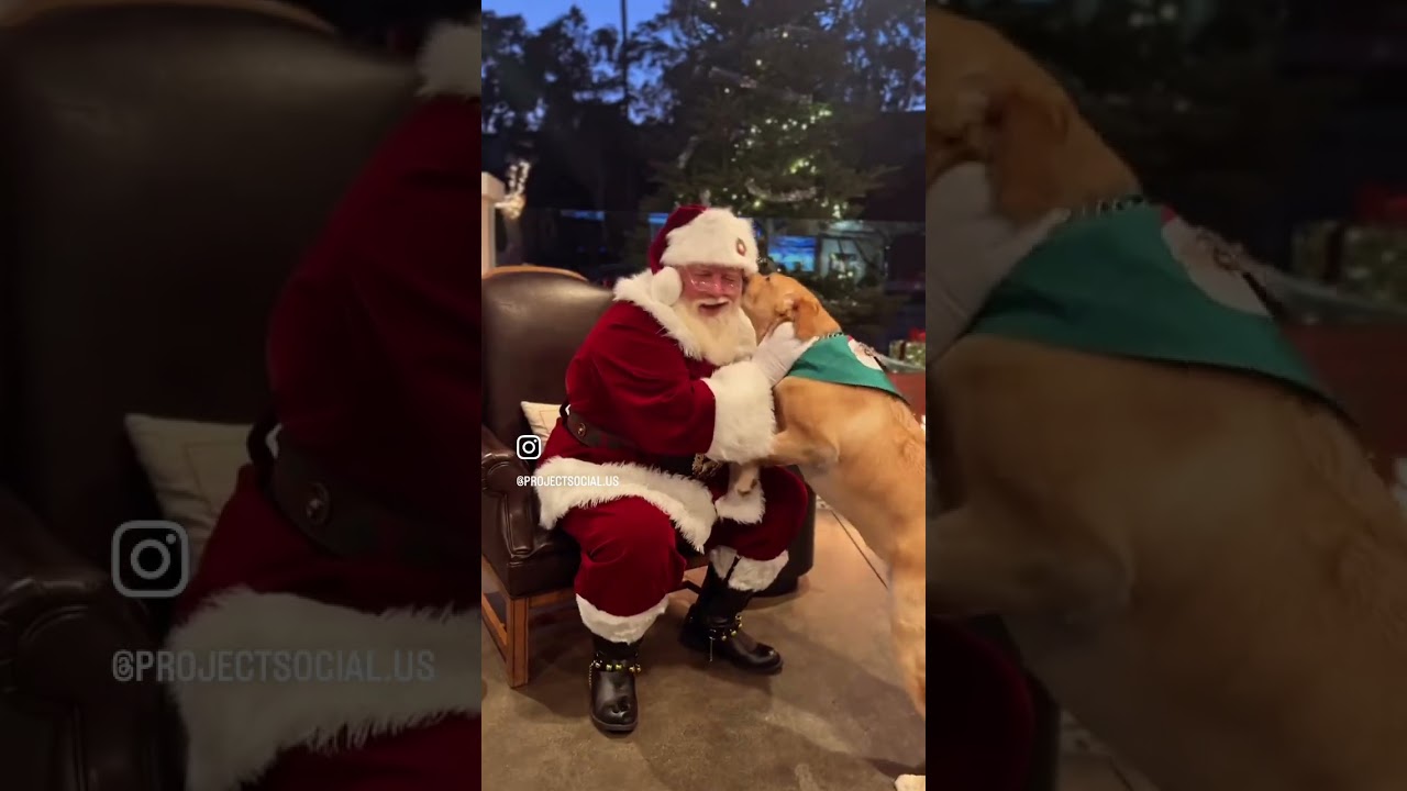 Promotional video thumbnail 1 for Vegas Saint Nick
