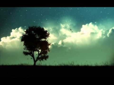 Tim Gunter   Ghosts 'N Money ft  Deadmau5  Drake  Birdman and Li