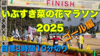 いぶすき菜の花マラソン2025ゴール編