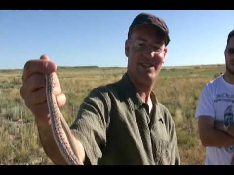 YouTube Video Y5ZS1_vVNNE