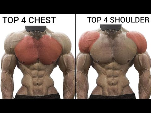 Top 4 Shoulder and Chest Workout at Gym To Grow Muscles