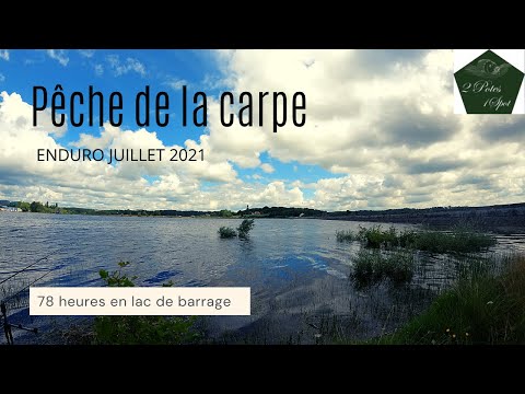Pêche de la carpe // Enduro Juillet 2021 en lac de barrage