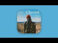 Jay Prince With U Feat Mahalia Official Audio