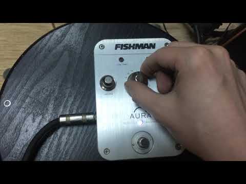Fishman Aura Acoustic Imaging Jumbo Pedal 2010s - Silver image 6