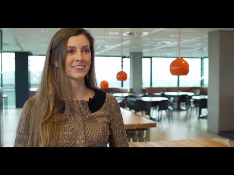 Sollicitatiegesprek: de Sterke en Zwakke punten vraag!