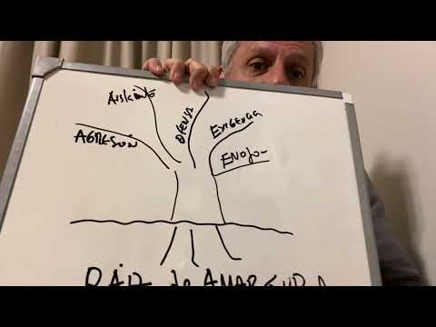 La raíz de amargura: el detrás de muchas conductas - Bernardo Stamateas