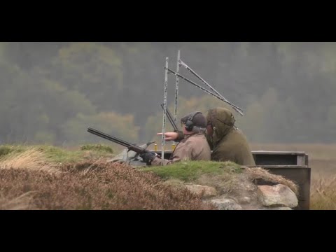 Driven Grouse Shooting Legerwood - Scotland - UK
