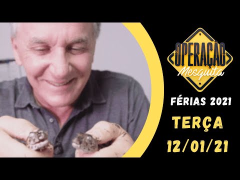 Operação Mesquita 12/01/2021