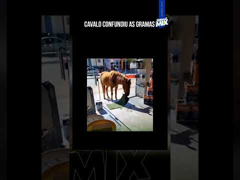 🐴 CAVALO CONFUNDIU AS GRAMAS EM ALMENARA E VIROU ATRAÇÃO NAS REDES!