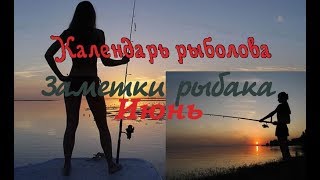 Рыболовный календарь в ростовской области