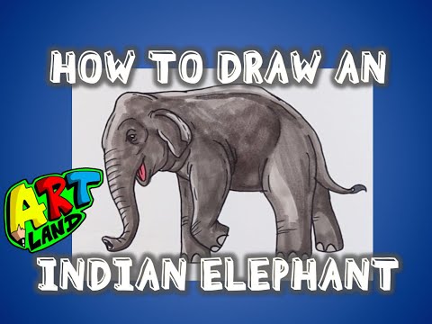 How to Draw a Asian Elephant – I'm Youtuber – Follow my videos to learn ...