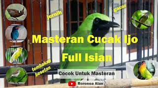 Download lagu Masteran Cucak Ijo Full Isian Tembakan Durasi Panjang mp3