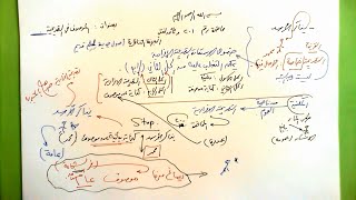 201 ★  الموصوف في التصريحية image