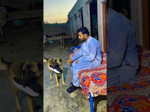 Allah Sent The Dog To Save Him 🥺🐕