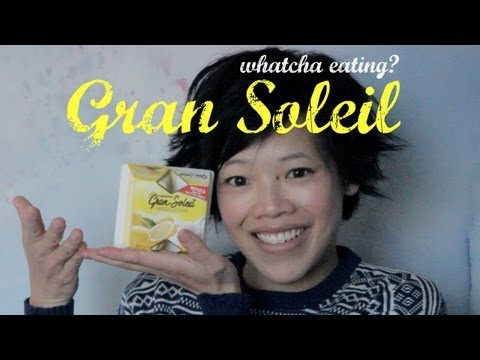 Gran Soleil Lemon Frozen Dessert: Whatcha Eating? #92