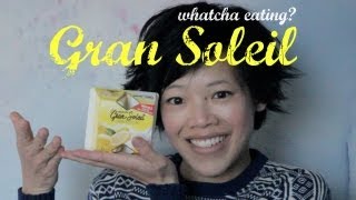 Gran Soleil Lemon Frozen Dessert: Whatcha Eating? #92