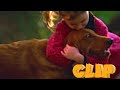 Barney S Colorful World Animals BONUS FEATURES SUBSCRIBE