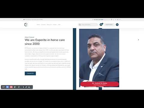 Website Demo